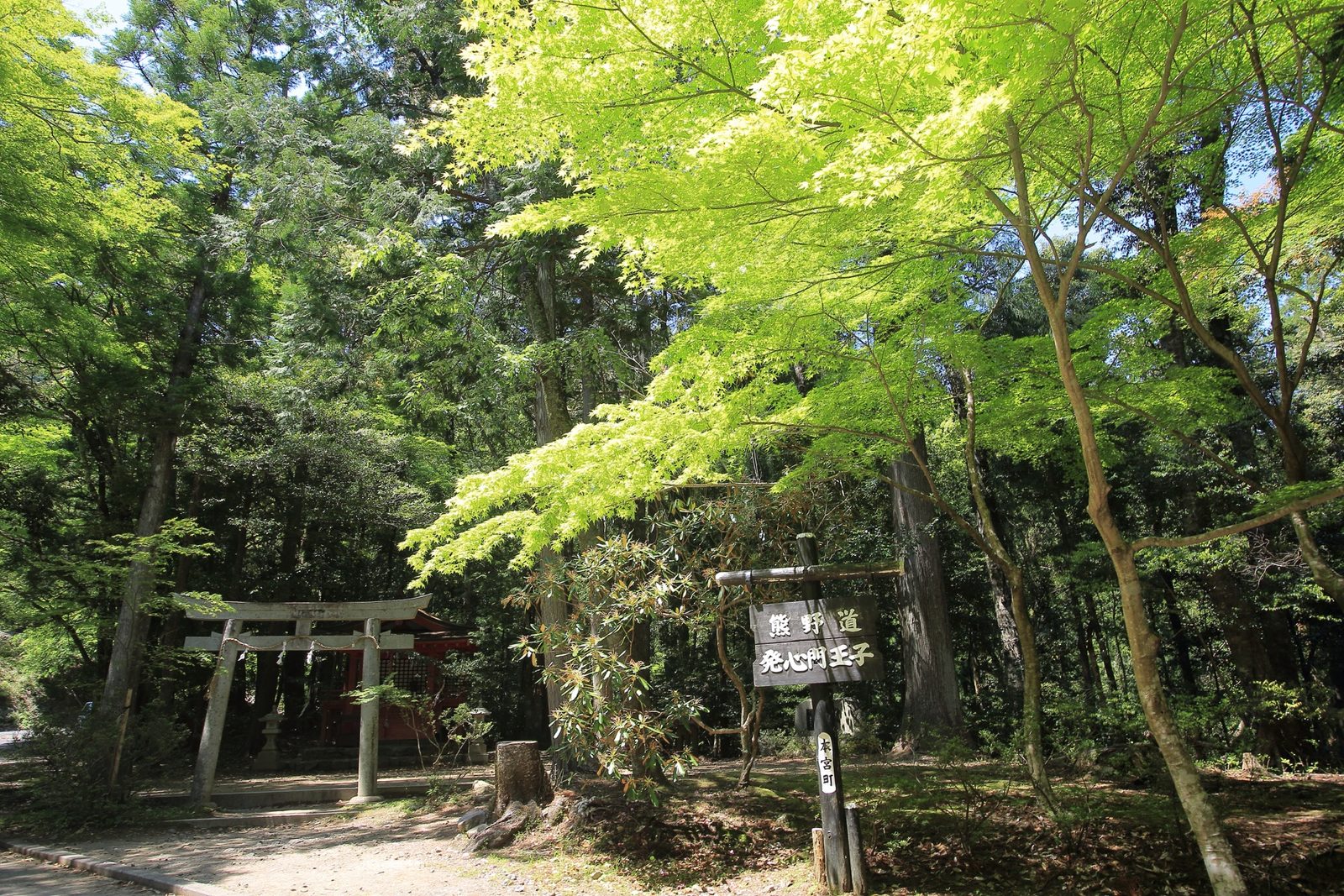 熊野古道 中辺路